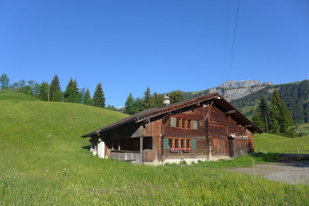 Willa Hami Adelboden Pokój zdjęcie