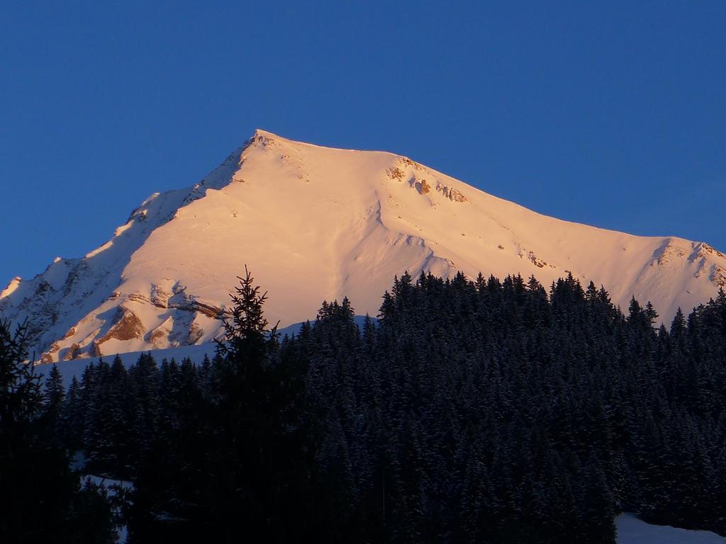 Willa Hami Adelboden Pokój zdjęcie